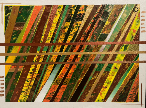 Rectified lines of the forest